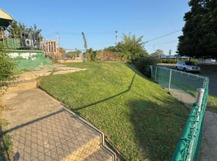 Ronald M.'s Grass Cutting service result