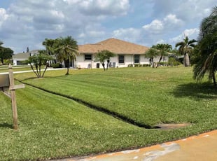Andrea W.'s Lawn Mowing service result