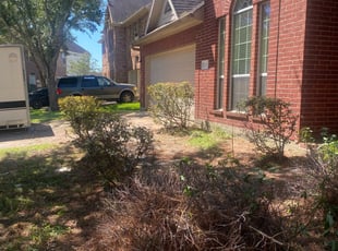 Bush Trimming by Agapito Rivera for Lisa W. in Rosharon, TX