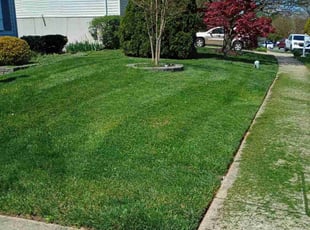 Robert H.'s Lawn Service service result