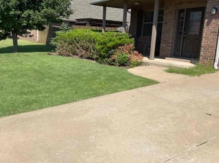 Nelson S.'s Lawn Mowing service result