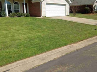 Darlene K.'s Lawn Service service result