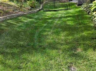 Sherri J.'s Lawn Care service result