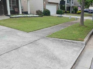 Franklin M.'s Lawn Service service result