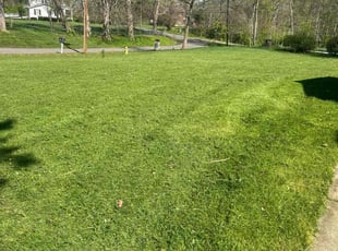 Roy R.'s Lawn Service service result