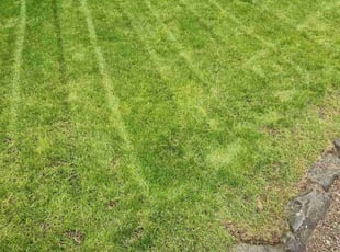 Peter M.'s Lawn Care service result