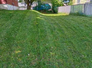 Marie K.'s Lawn Mowing service result