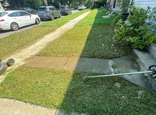 Hector V.'s Lawn Care service result