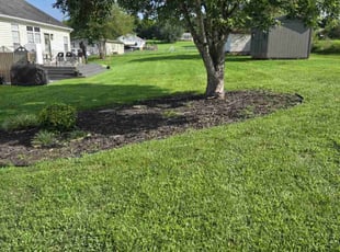 Kristine T.'s Lawn Care service result