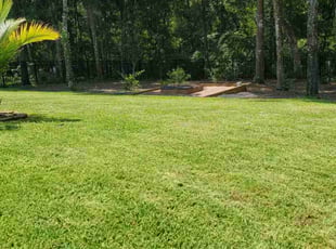 Mai D.'s Lawn Service service result