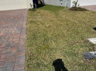 Glenda P.'s Lawn Mowing service result
