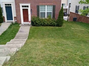 Beth H.'s Lawn Service service result