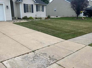 Vernona B.'s Grass Cutting service result