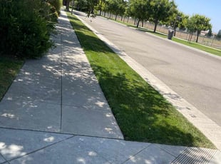 Jennifer W.'s Lawn Service service result