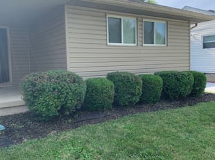 Bush Trimming by Andrew Carpenter for Patrice B. in Columbus, OH