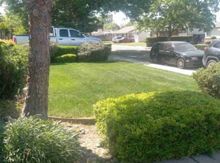 Briana B.'s Lawn Service service result