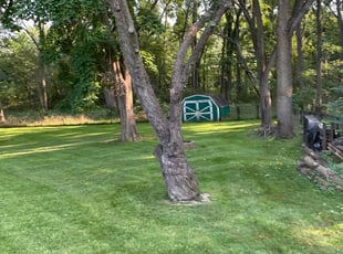 Annie B.'s Lawn Mowing Service service result