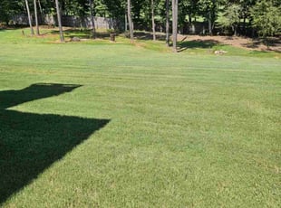 Orlando h.'s Grass Cutting service result