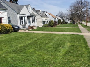 John M.'s Lawn Care service result