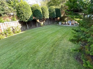 Klaire M.'s Lawn Care service result