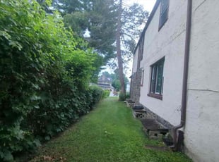 Diane J.'s Lawn Mowing service result