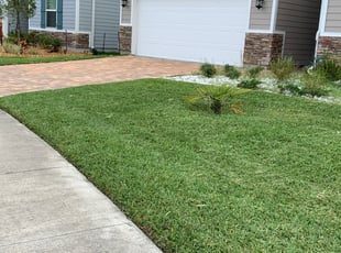 Alicia S.'s Lawn Maintenance service result