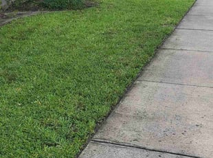 Cynthia C.'s Lawn Service service result