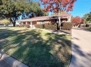 Saida M.'s Yard Cutting service result