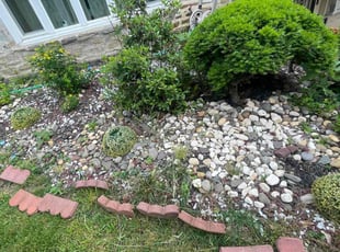 Weeding by Kevin Pagan for Everlyn A. in Melrose Park, PA