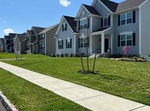 Davin S.'s Lawn Mowing service result