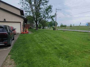 Steven D.'s Lawn Care service result