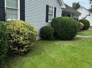 Mark K.'s Lawn Care service result