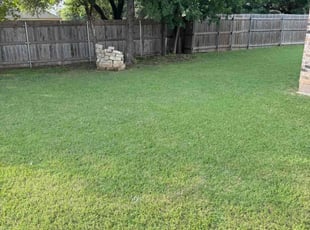 Lise N.'s Lawn Mowing service result