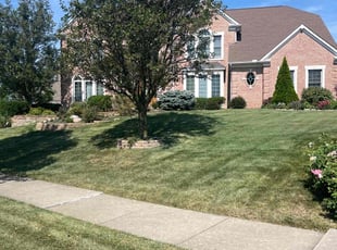 Lee T.'s Yard Cutting service result