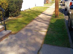 Morman M.'s Lawn Service service result