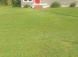 Jayson H.'s Lawn Mowing service result