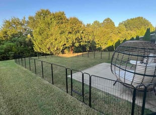 Marcia H.'s Lawn Care service result