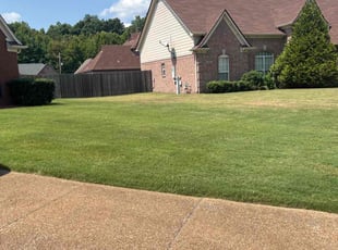 Jacqueline M.'s Grass Cutting service result