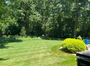 Virginia E.'s Lawn Care service result