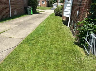 Chanara M.'s Lawn Mowing service result