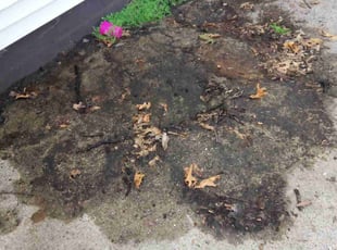 Leaf Removal by Donald Archer for Pat W. in Gary, IN