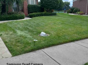 Nick K.'s Lawn Care service result