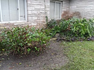 Bush Trimming by Will Rich for Niurka R. in Jacksonville, FL