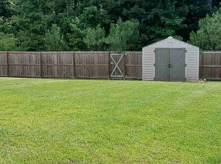 Florence B.'s Lawn Mowing service result