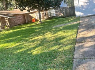 Dan Z.'s Lawn Mowing service result