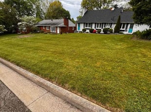 Chuck G.'s Lawn Mowing service result