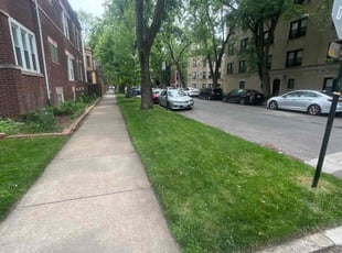 Anthony S.'s Lawn Mowing service result