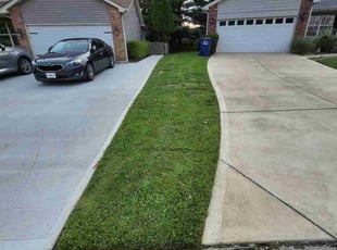 Michael D.'s Lawn Care service result