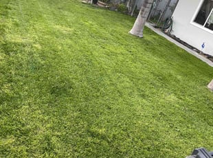 Michael R.'s Lawn Service service result