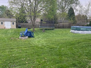 Adrian r.'s Lawn Mowing service result